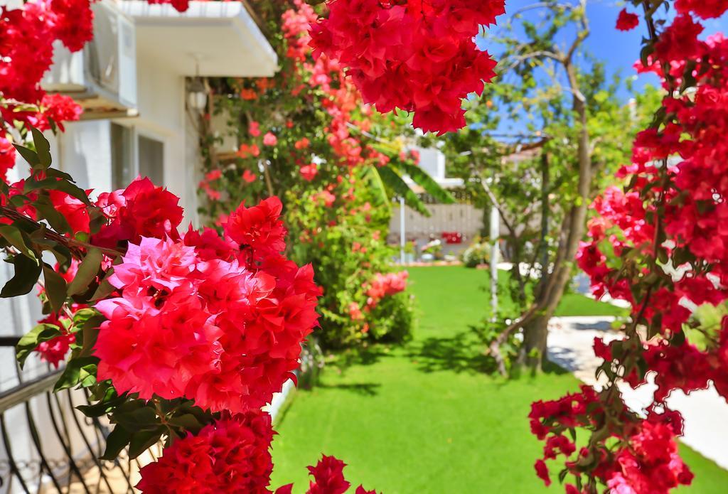 Kiraz Butik Hotel Alaçatı Exteriör bild